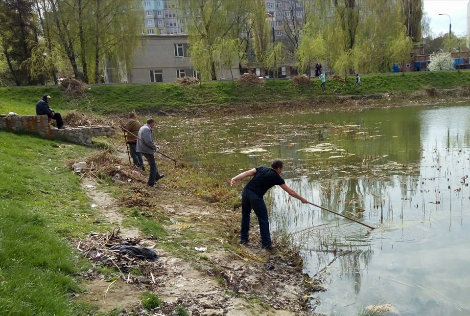 18.04.2016Толока