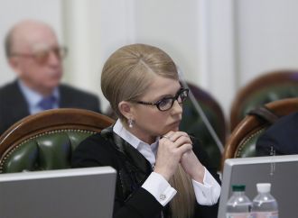 «Батьківщина» вимагає зупинити приховану приватизацію землі, 20.02.2017