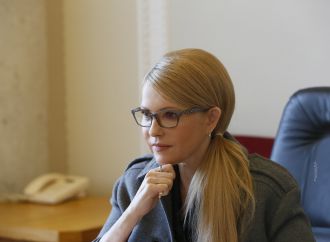 «Батьківщина» розпочала підготовку до Всеукраїнського референдуму щодо заборони на продаж землі