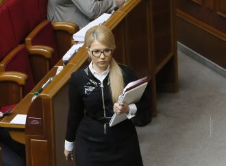 «Батьківщина» повідомила ЦВК про збори групи з проведення референдуму проти продажу землі, 13.04.2017