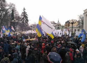 «Батьківщина» та фермери вийшли до парламенту з вимогою продовжити мораторій на продаж землі