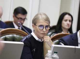 Кланова система веде війну проти громадських активістів, – Юлія Тимошенко