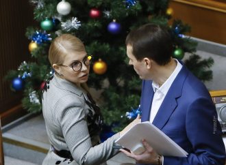 Валерія Дубіля обрано заступником Голови партії «Батьківщина»