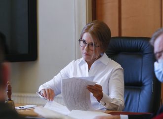 «Батьківщина» проти корупційного переділу ринку сировини в деревообробній галузі