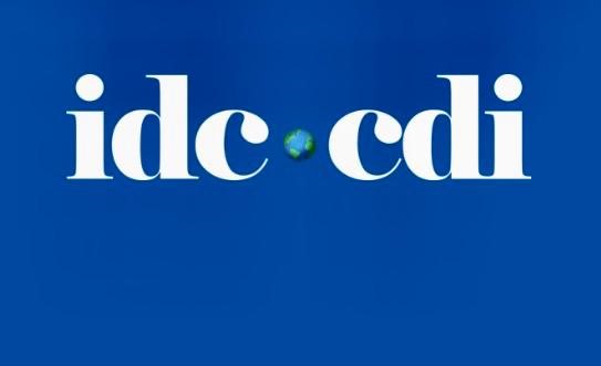 CDI ухвалив резолюцію із засудженням політично мотивованого переслідування Юлії Тимошенко